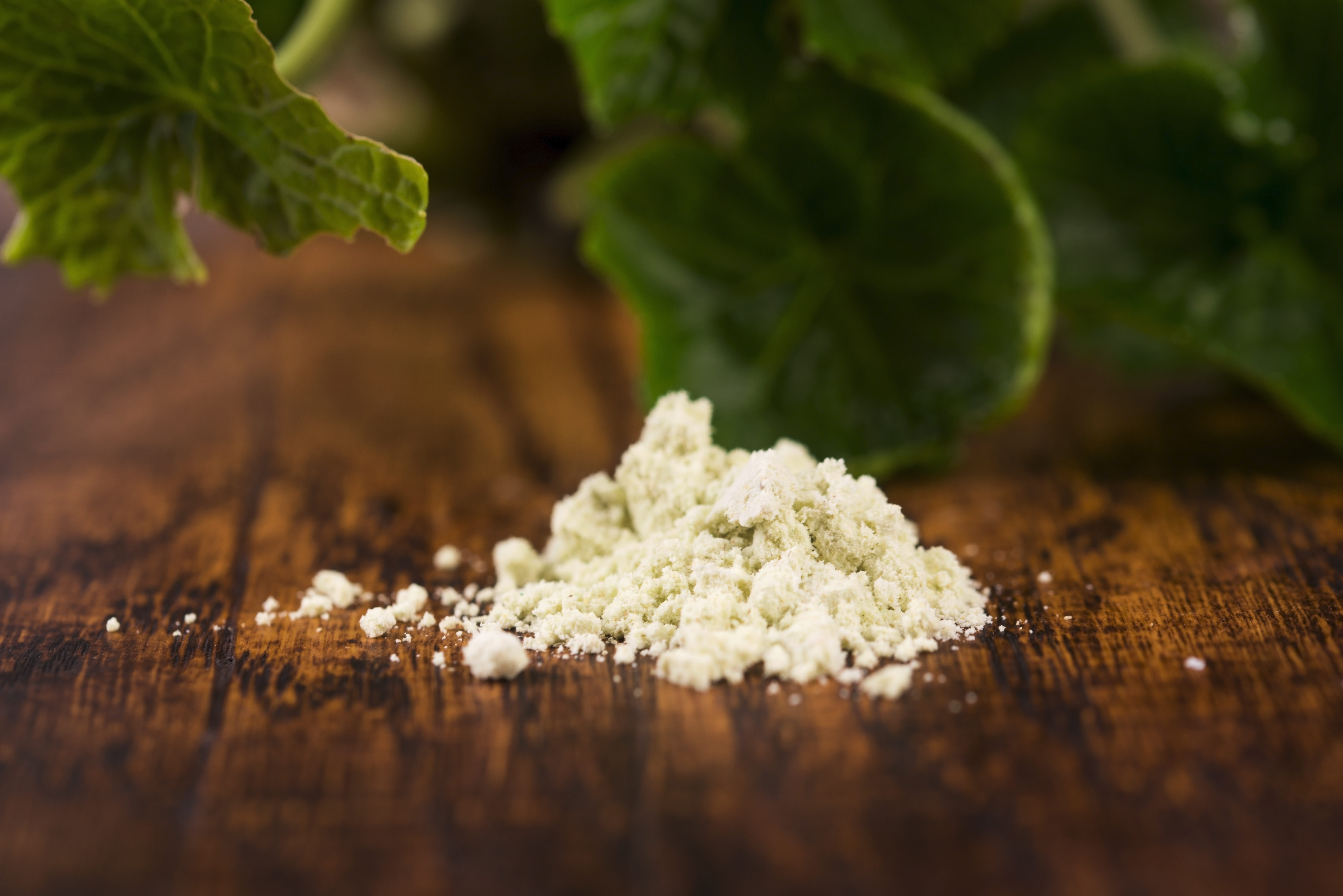 Tasty Pott Meerrettichpulver 70g Dose