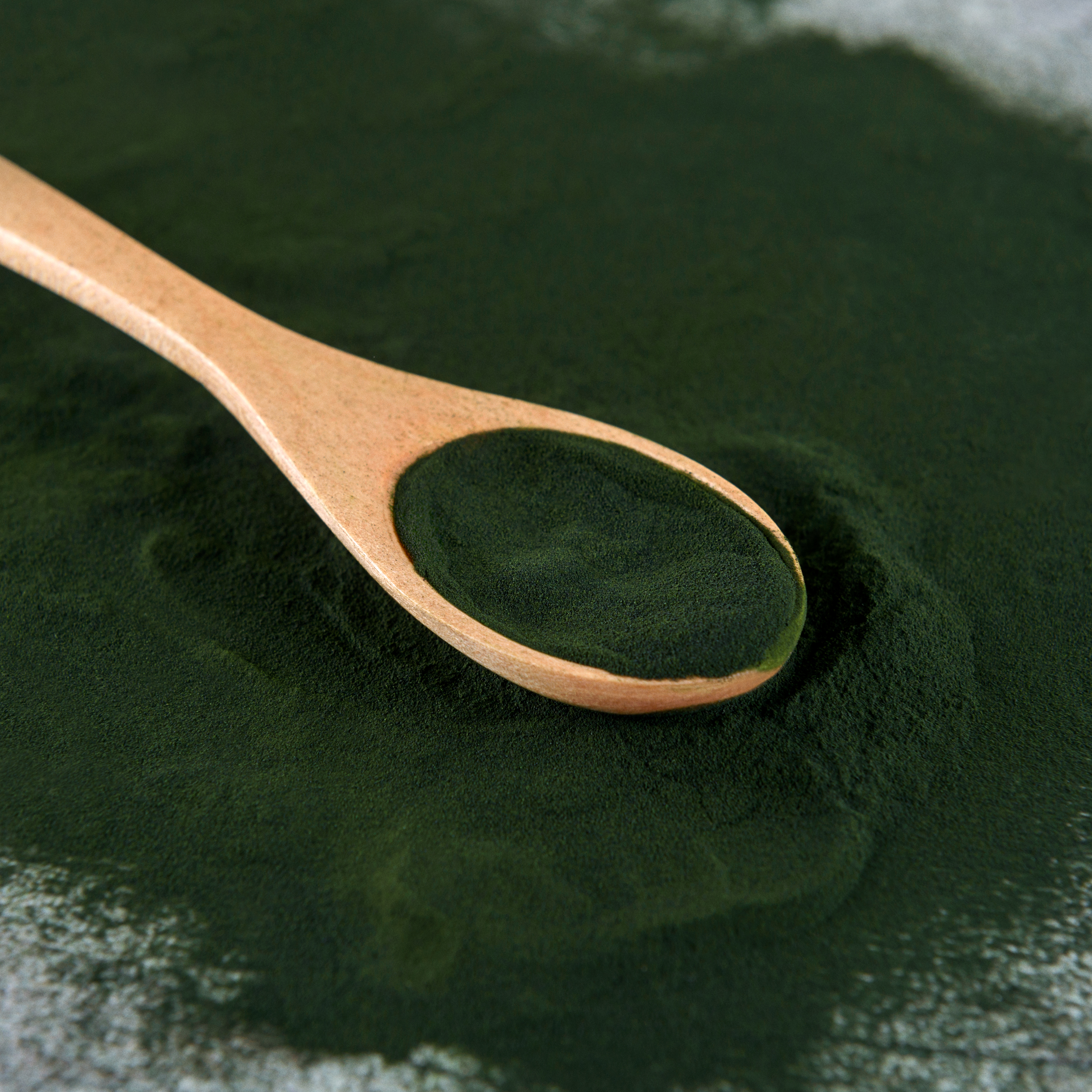 Bio Chlorella Pulver - Bio Qualität - 250g Beutel von Tasty Pott Bio Chlorella Pulver - Bio Qualität - 250g Beutel von Tasty Pott