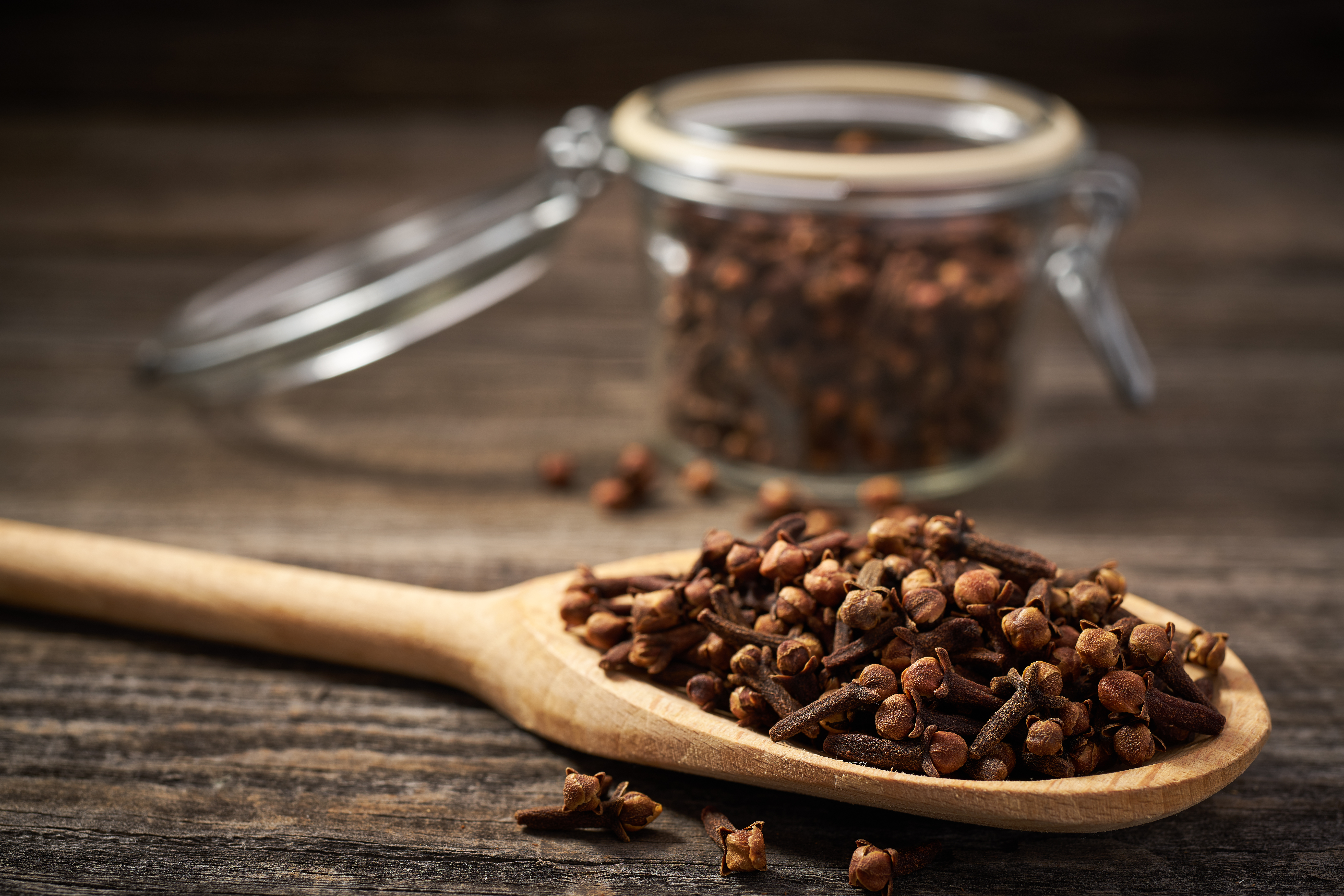 Tasty Pott Bio Nelken - ganz - Nachfüllbeutel 30g