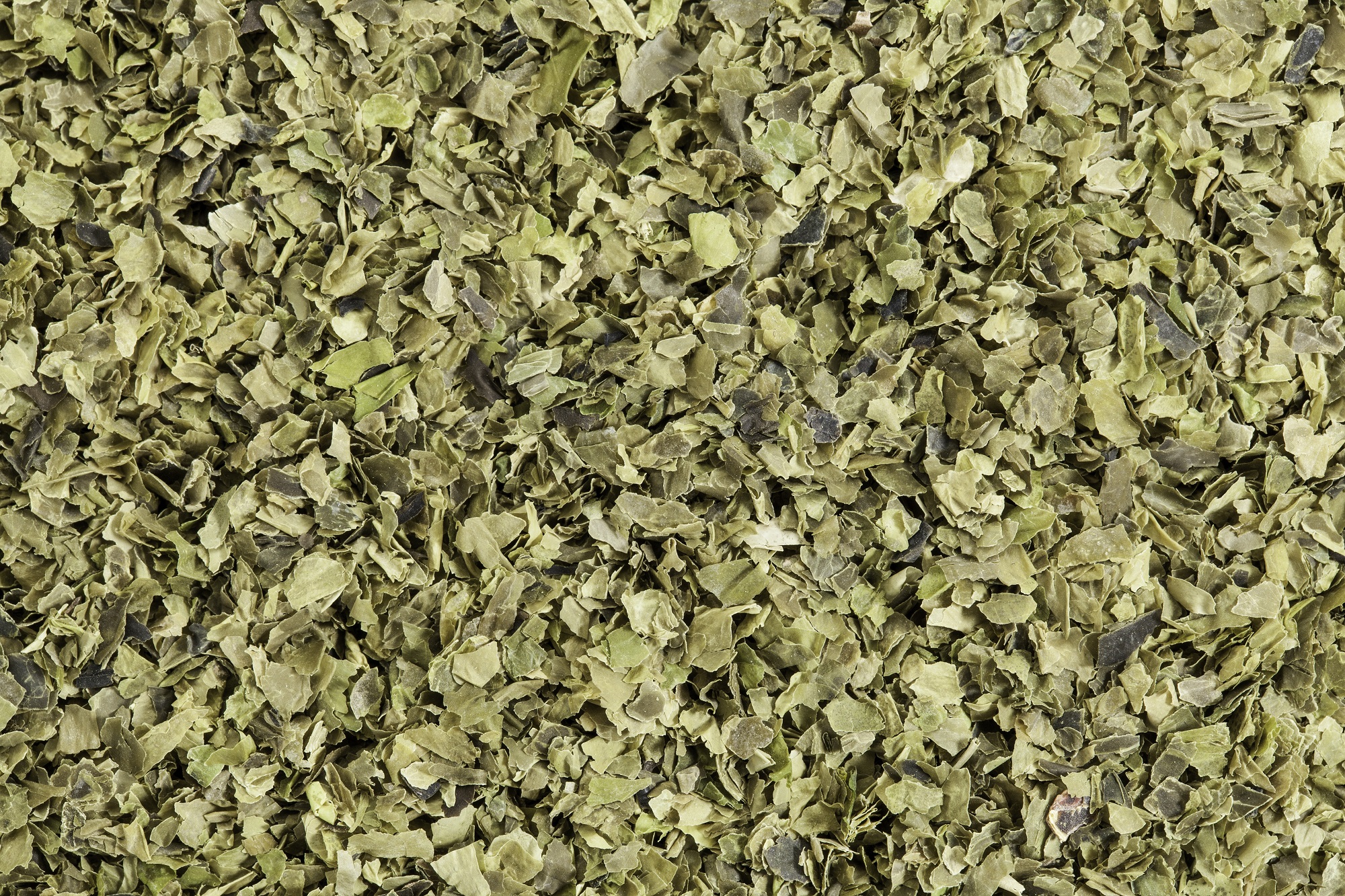 Tasty Pott Bio Wakame Flocken 50g Beutel