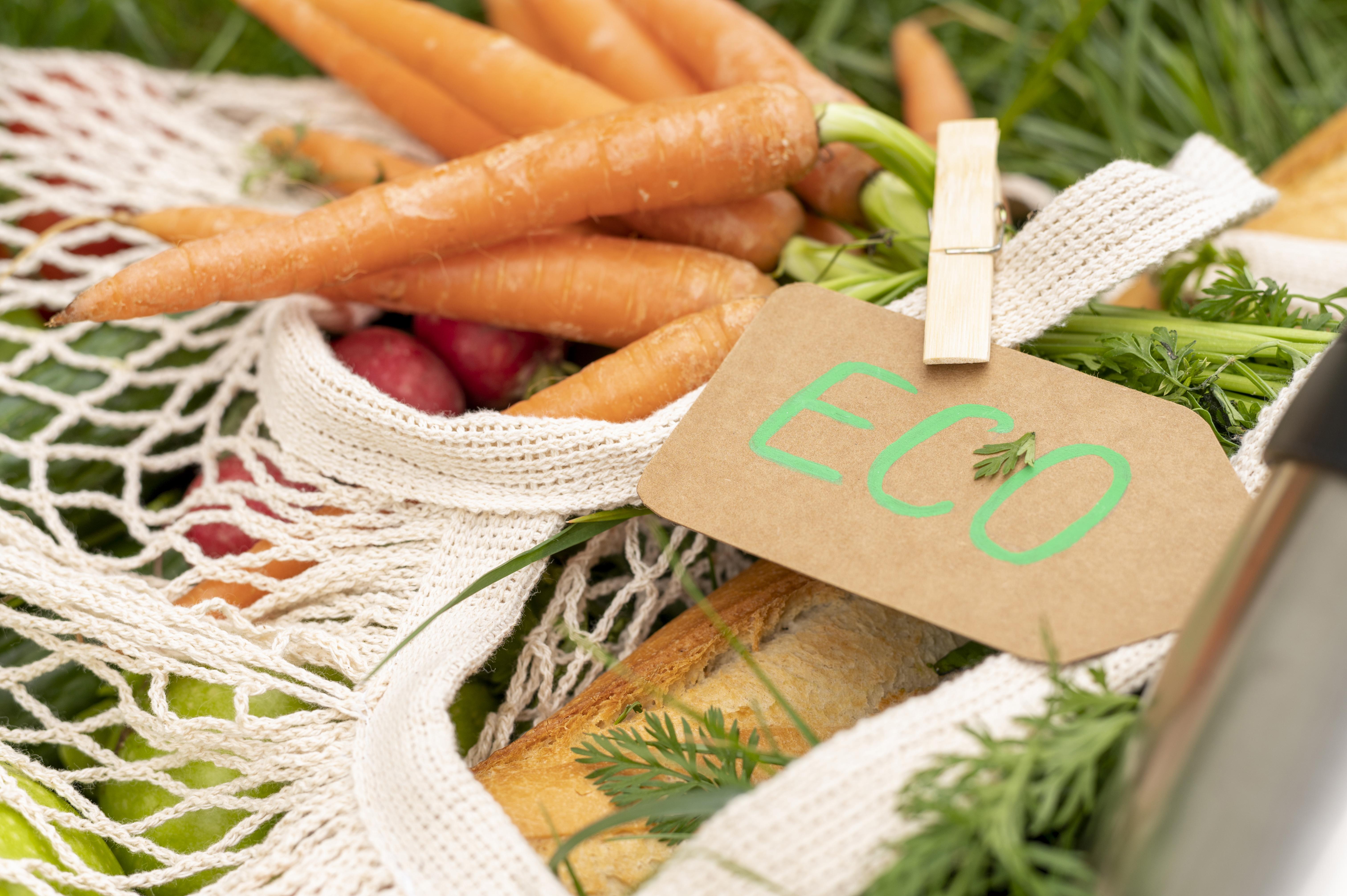 wiederverwendbare-nahaufnahmebeutel-mit-lebensmitteln-auf-gras wiederverwendbare-nahaufnahmebeutel-mit-lebensmitteln-auf-gras