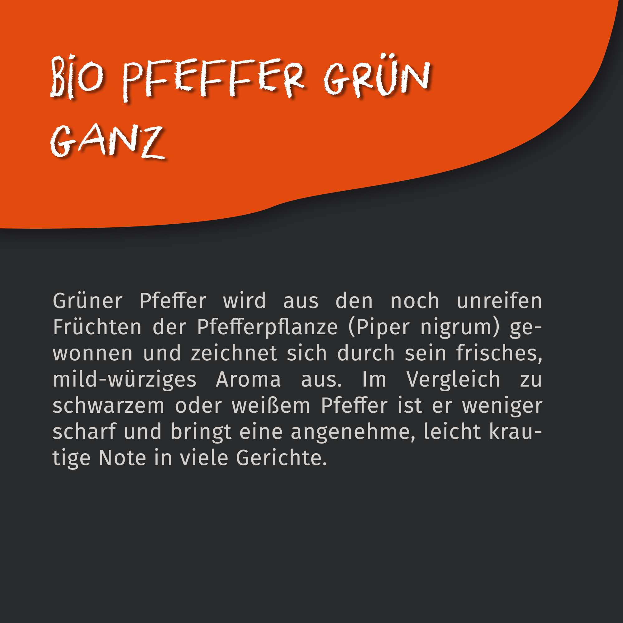 Tasty Pott Bio Pfeffer grün | ganz | Grüne Pfefferkörner - 40g Dose