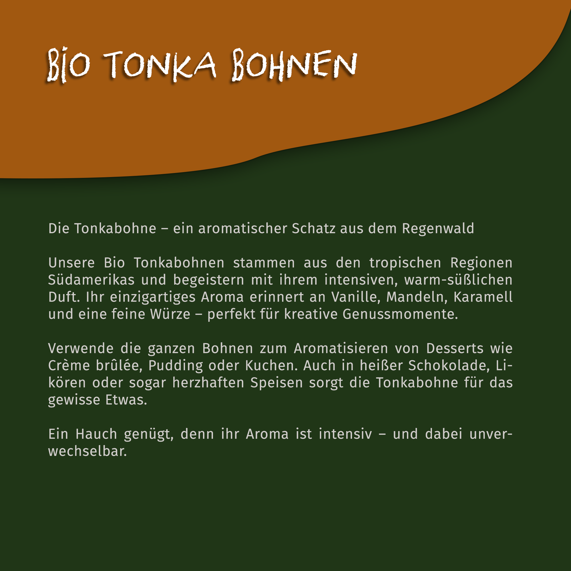 Bio Tonka Bohnen - ganz - 70g Dose von Tasty Pott  Bio Tonka Bohnen - ganz - 70g Dose von Tasty Pott