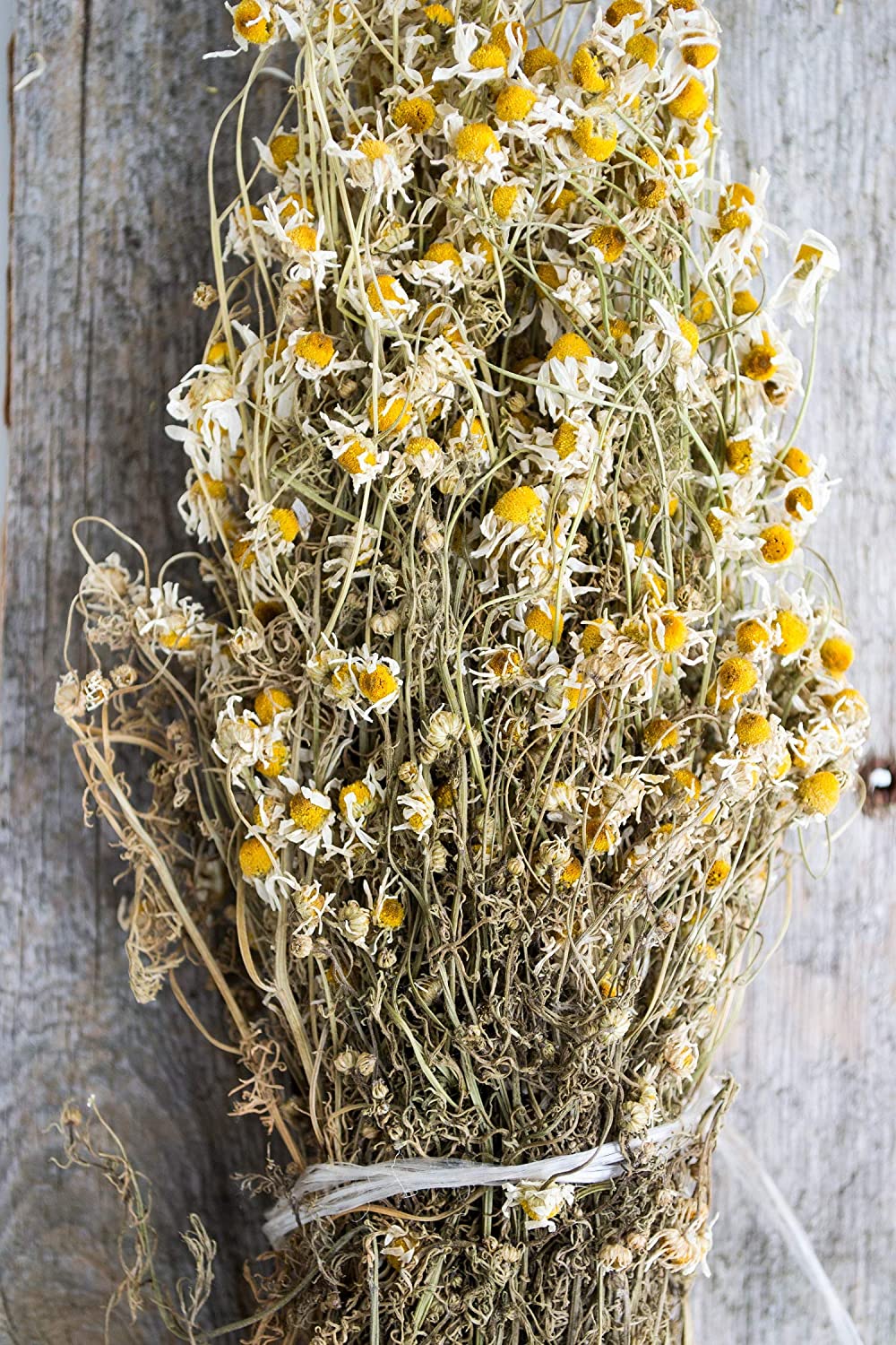Kamillenblüten getrocknet, Bio - für leckeren Kamillentee | 250g Beutel Tasty Pott 
