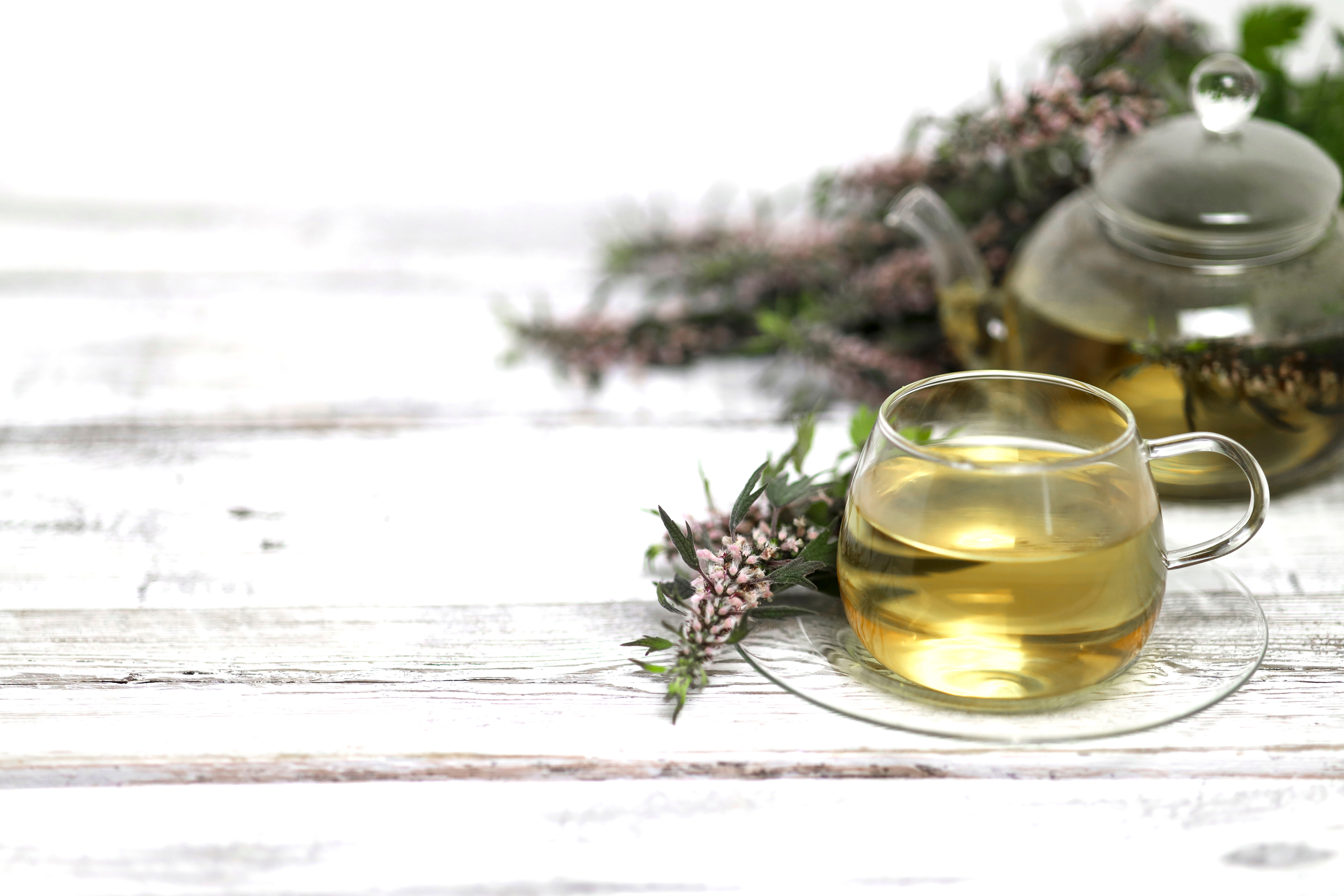 Tasty Pott Herzgespannkraut getrocknet & geschnitten – naturreines Kräuteraroma für Tee & Küche 100g