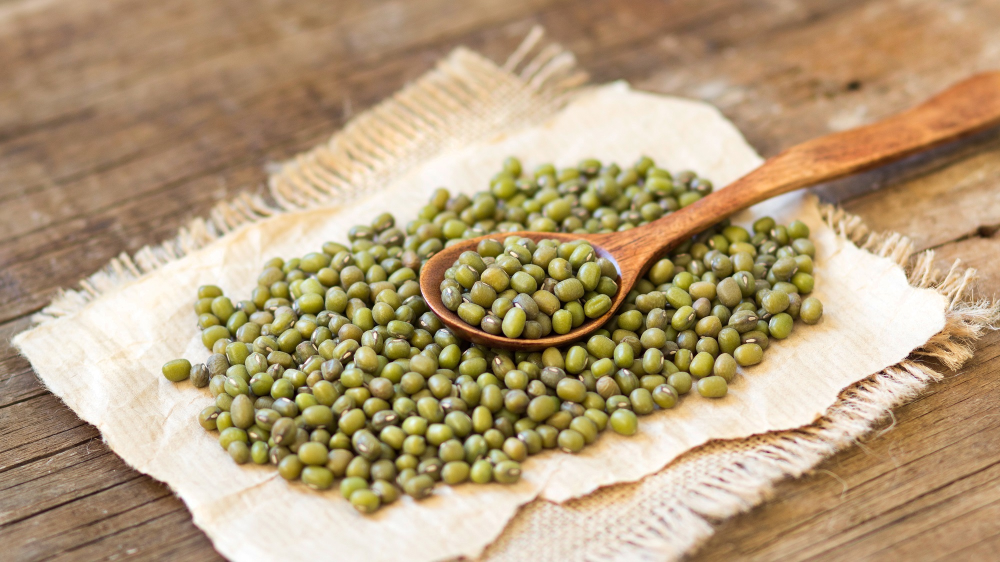 Bio Mungbohnen ganz - grüne Mungbohne - 1Kg Beutel von Tasty Pott 