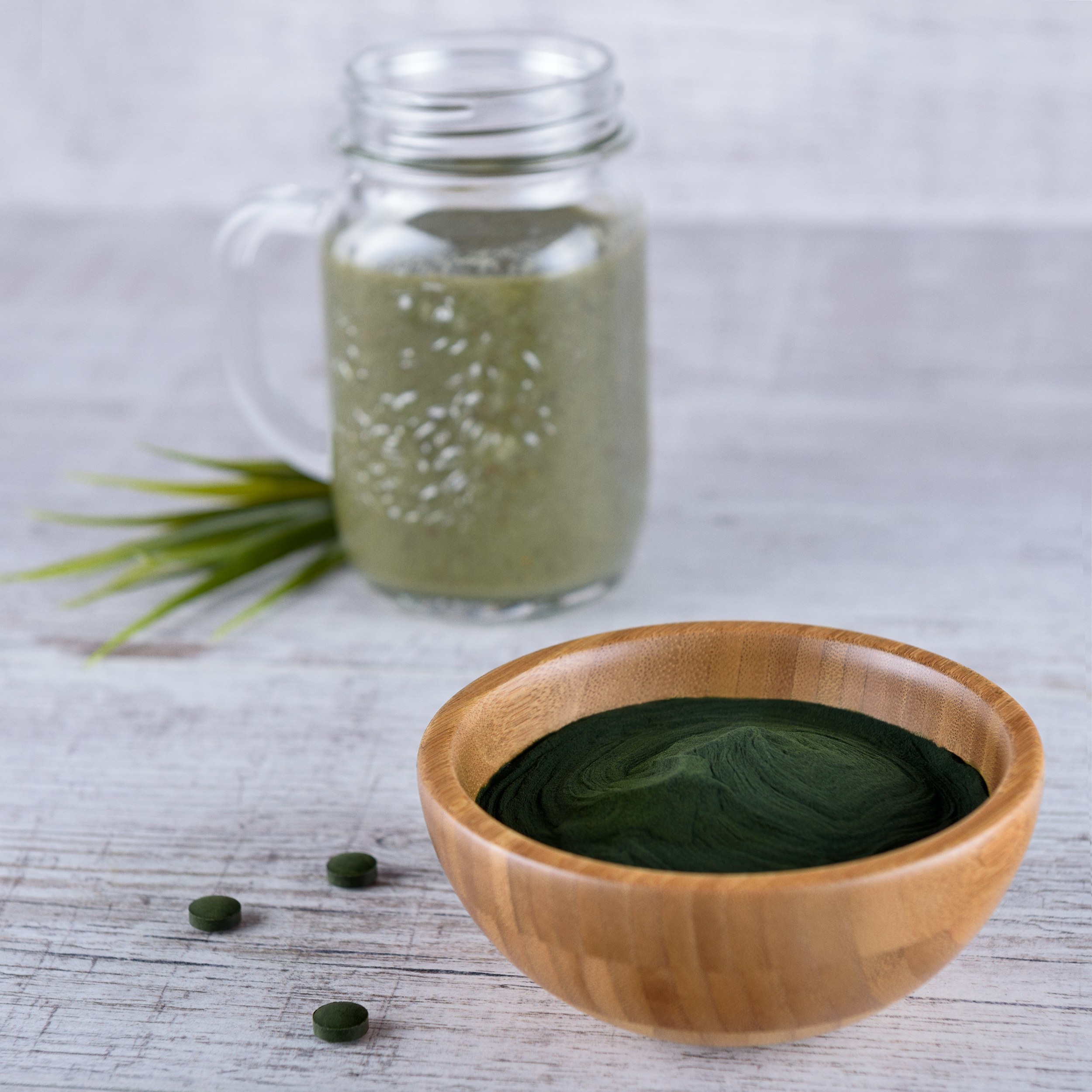 Bio Chlorella Pulver - Bio Qualität - 250g Beutel von Tasty Pott Bio Chlorella Pulver - Bio Qualität - 250g Beutel von Tasty Pott