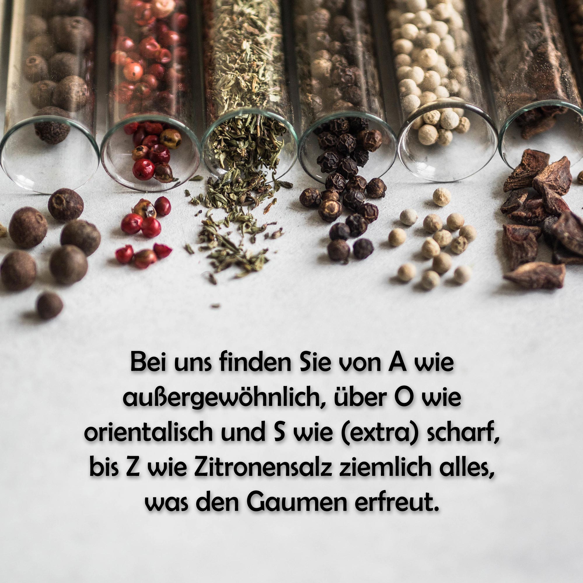 Bio Rührei Mix - Gewürzmischung - 80g Dose von Tasty Pott 