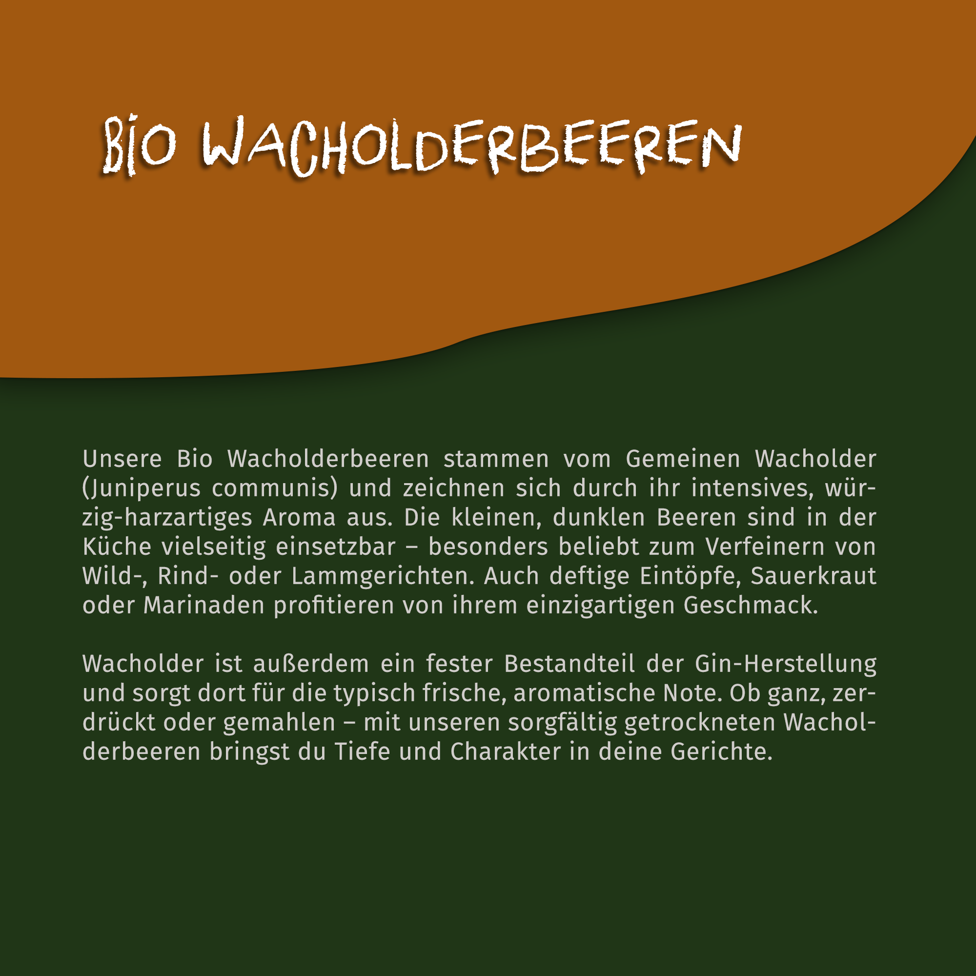 Tasty Pott Bio Wacholderbeeren - ganz - 50g Tasty Pott Bio Wacholderbeeren - ganz - 50g