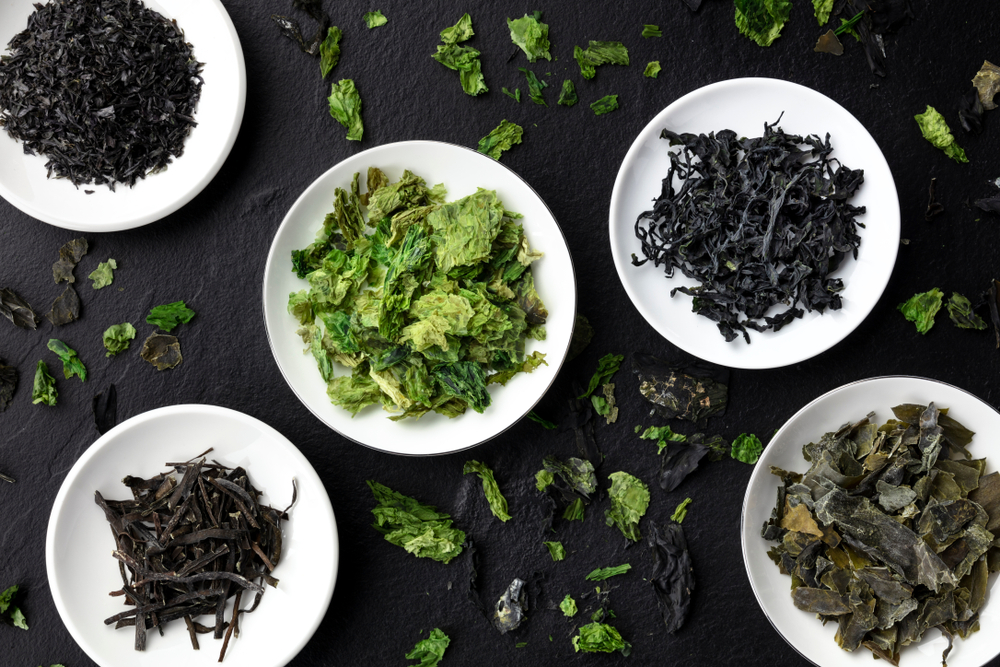 Tasty Pott Bio Wakame Flocken 50g Beutel