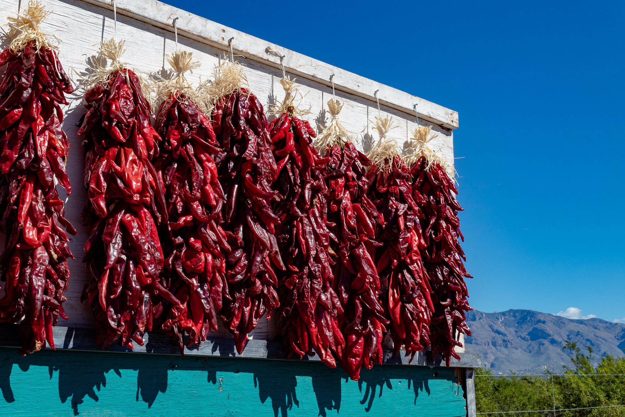 Bio Chili geschrotet mit Saat 60g Dose von Tasty Pott Bio Chili geschrotet mit Saat 60g Dose von Tasty Pott
