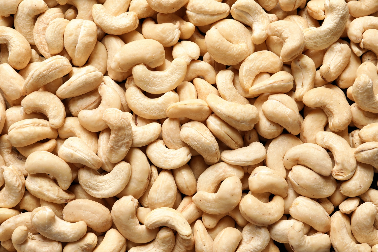 Bio Cashewmus 500g Glas von Tasty Pott Bio Cashewmus 500g Glas von Tasty Pott