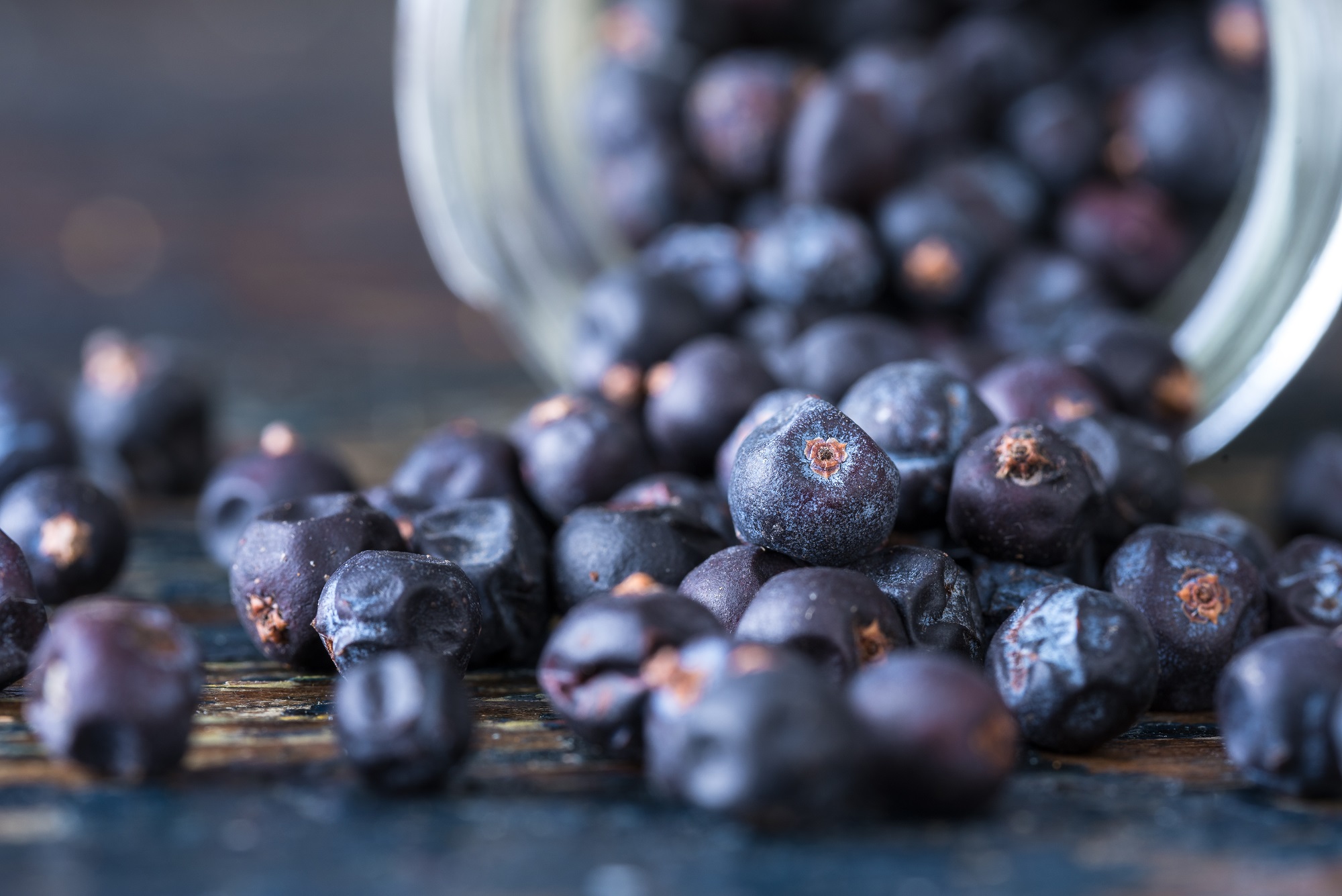 Bio Wacholderbeeren - ganz - 250g Beutel von Tasty Pott