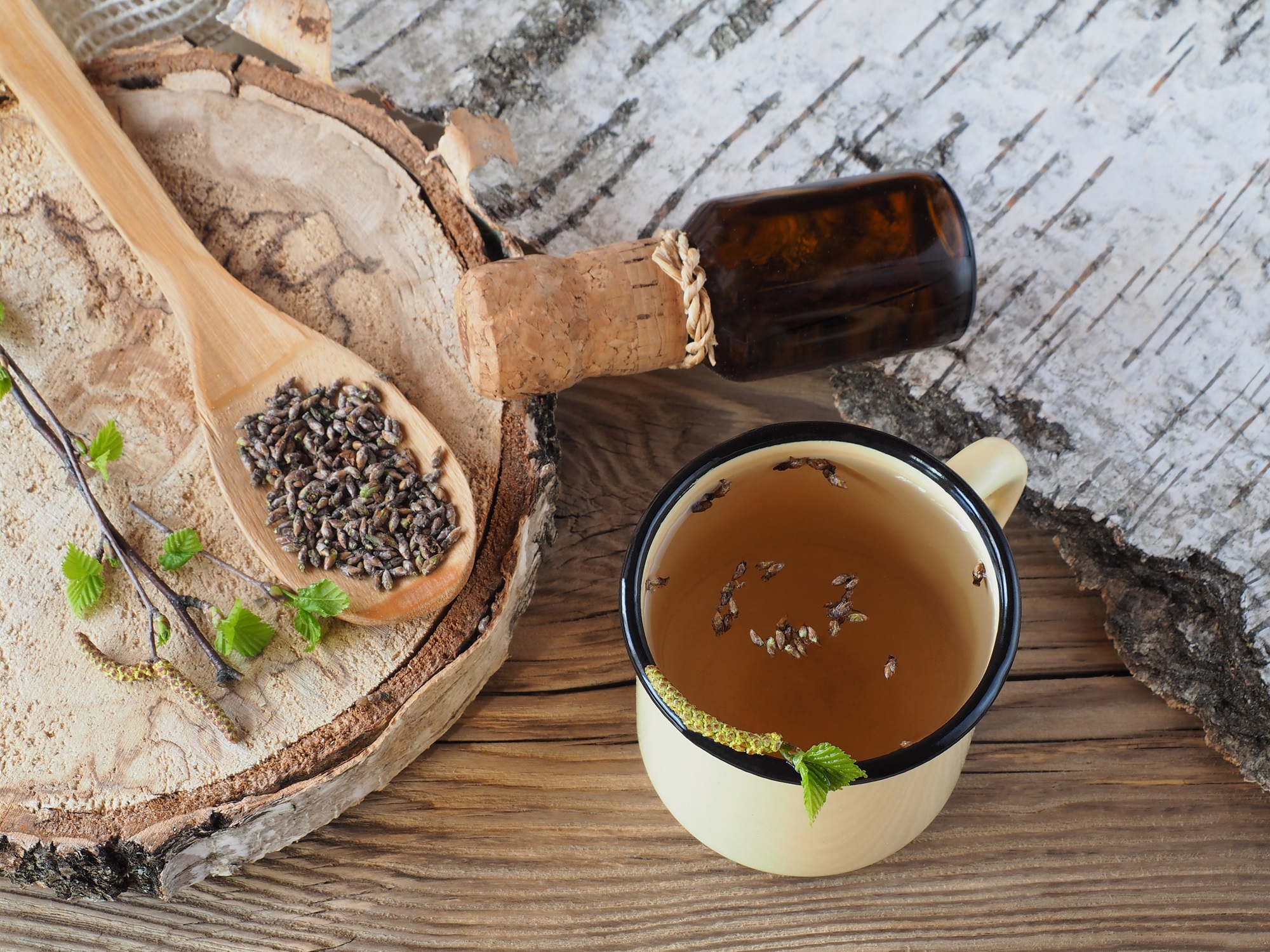 Tasty Pott Birkenknospen getrocknet – 100 % naturrein | Kräutertee & vegane Teezutat 100g 