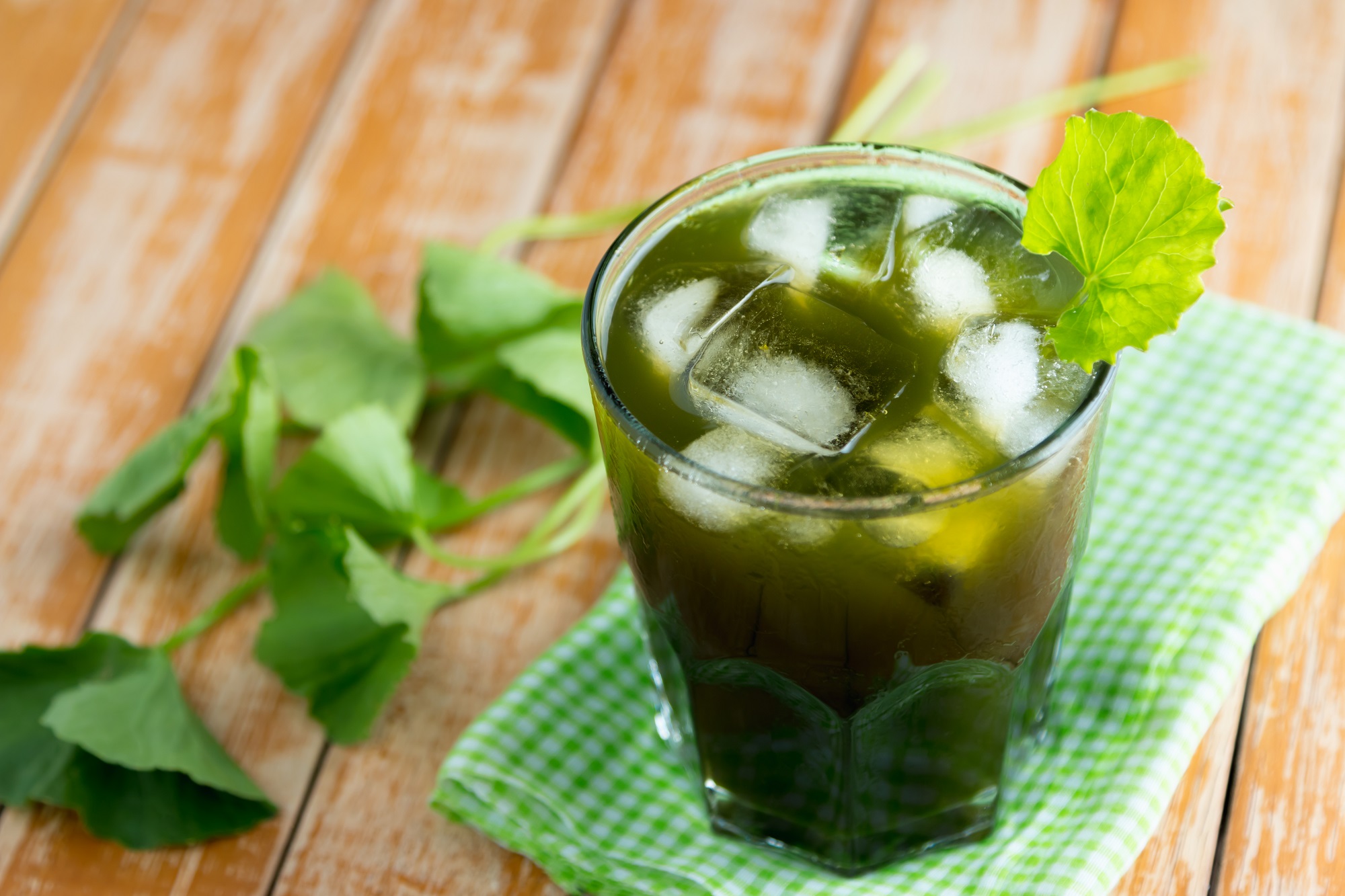 Kelp Pulver - Bio Kelp Algen Pulver - 200g Beutel Tasty Pott