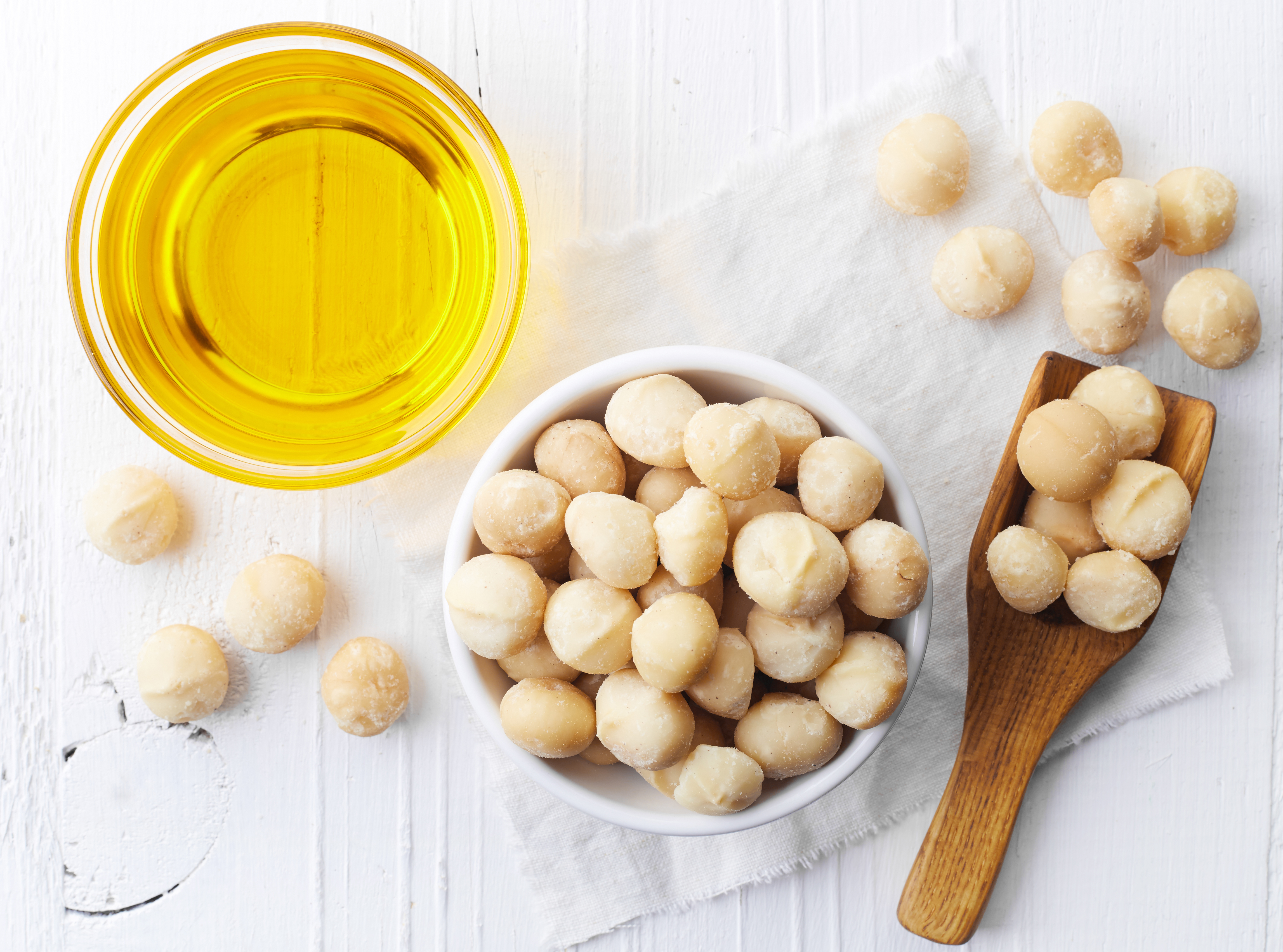 Macadamianüsse - Macadamia Nuss | 500g Tasty Pott Macadamianüsse - Macadamia Nuss | 500g Tasty Pott
