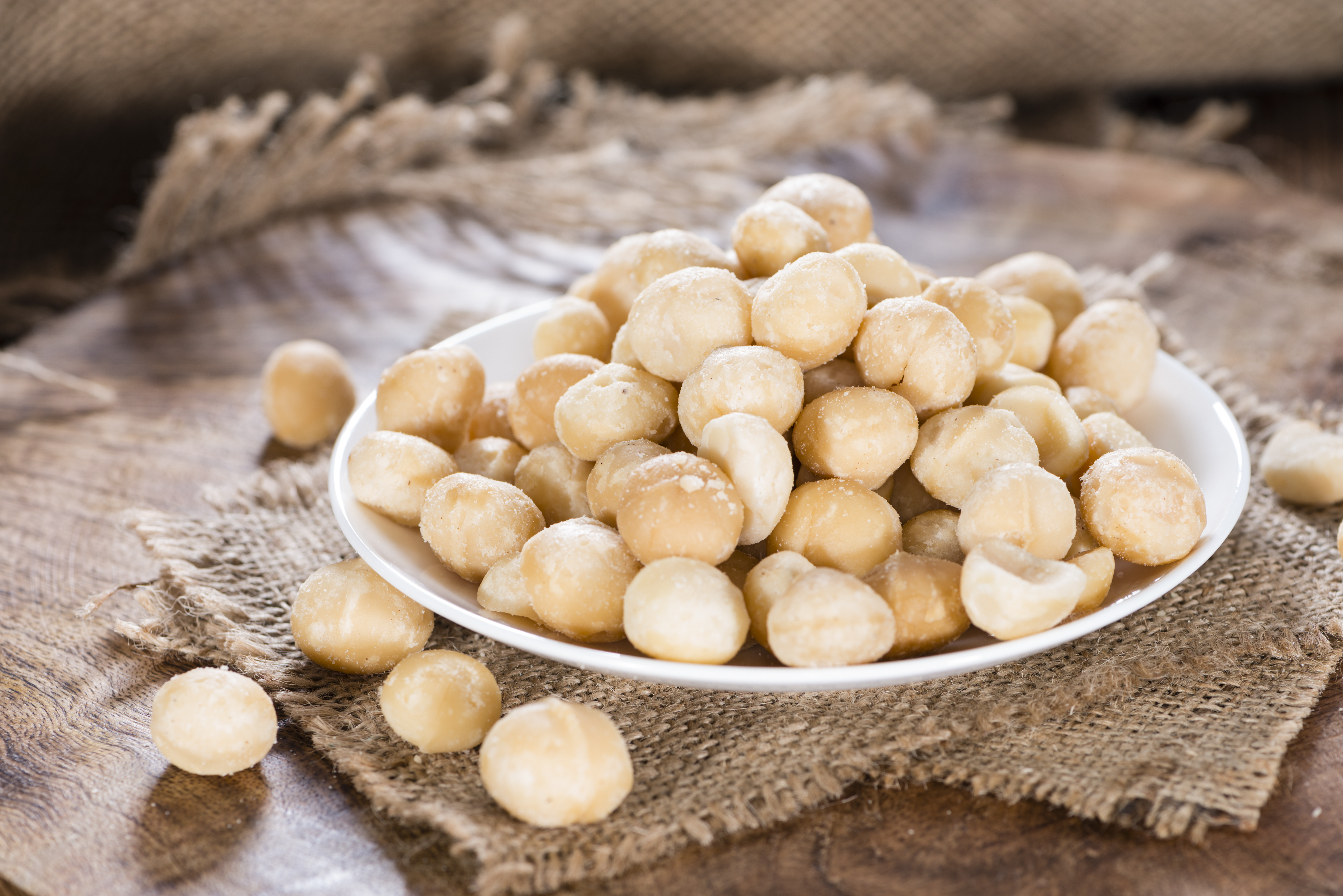 Macadamianüsse - Macadamia Nuss | 500g Tasty Pott Macadamianüsse - Macadamia Nuss | 500g Tasty Pott