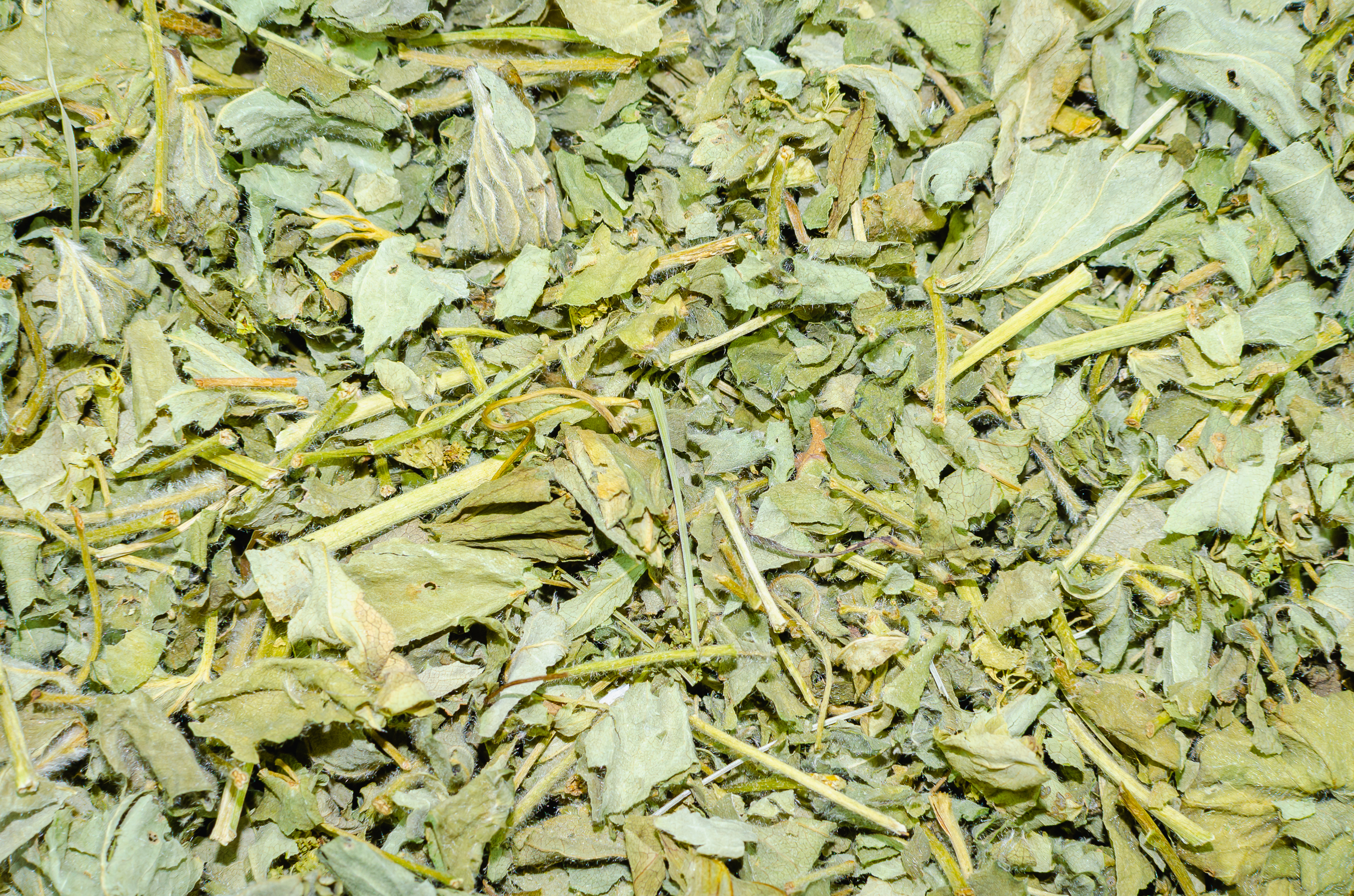 Tasty Pott Frauenmantelkraut getrocknet & geschnitten – vielseitiges Naturkraut für Tee & Küche 100g