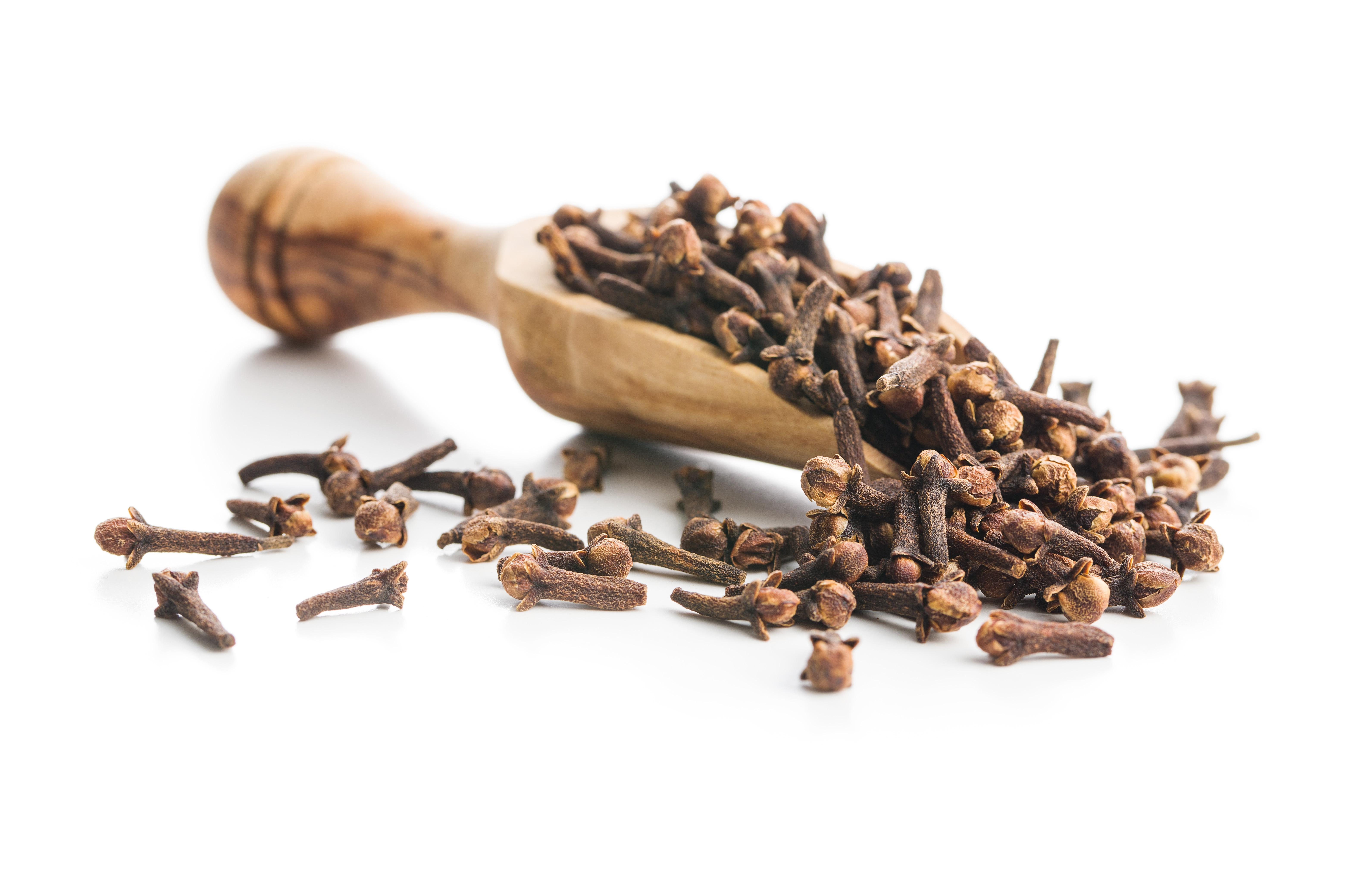 Tasty Pott Bio Nelken - ganz - Nachfüllbeutel 30g
