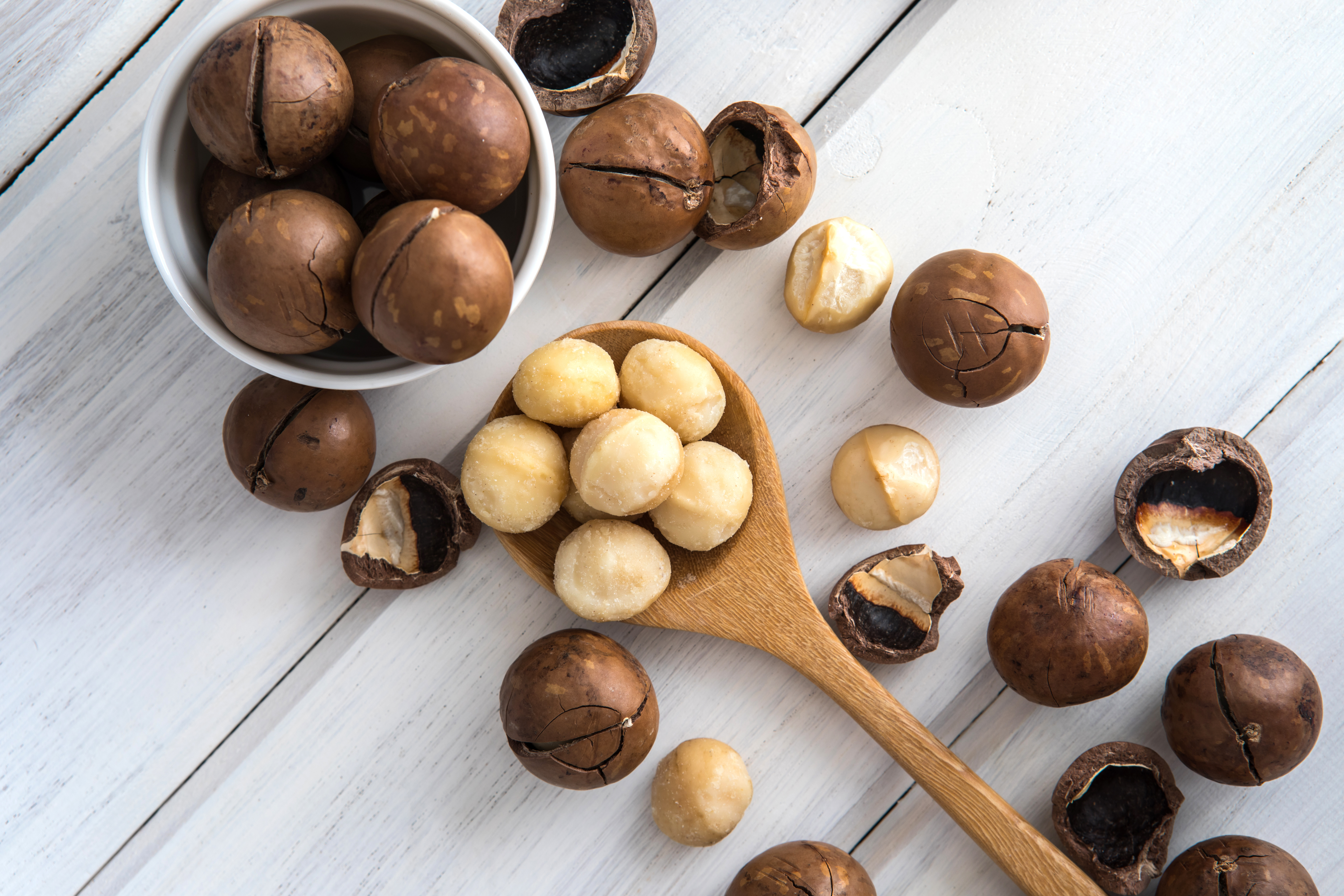 Macadamianüsse - Macadamia Nuss | 500g Tasty Pott Macadamianüsse - Macadamia Nuss | 500g Tasty Pott