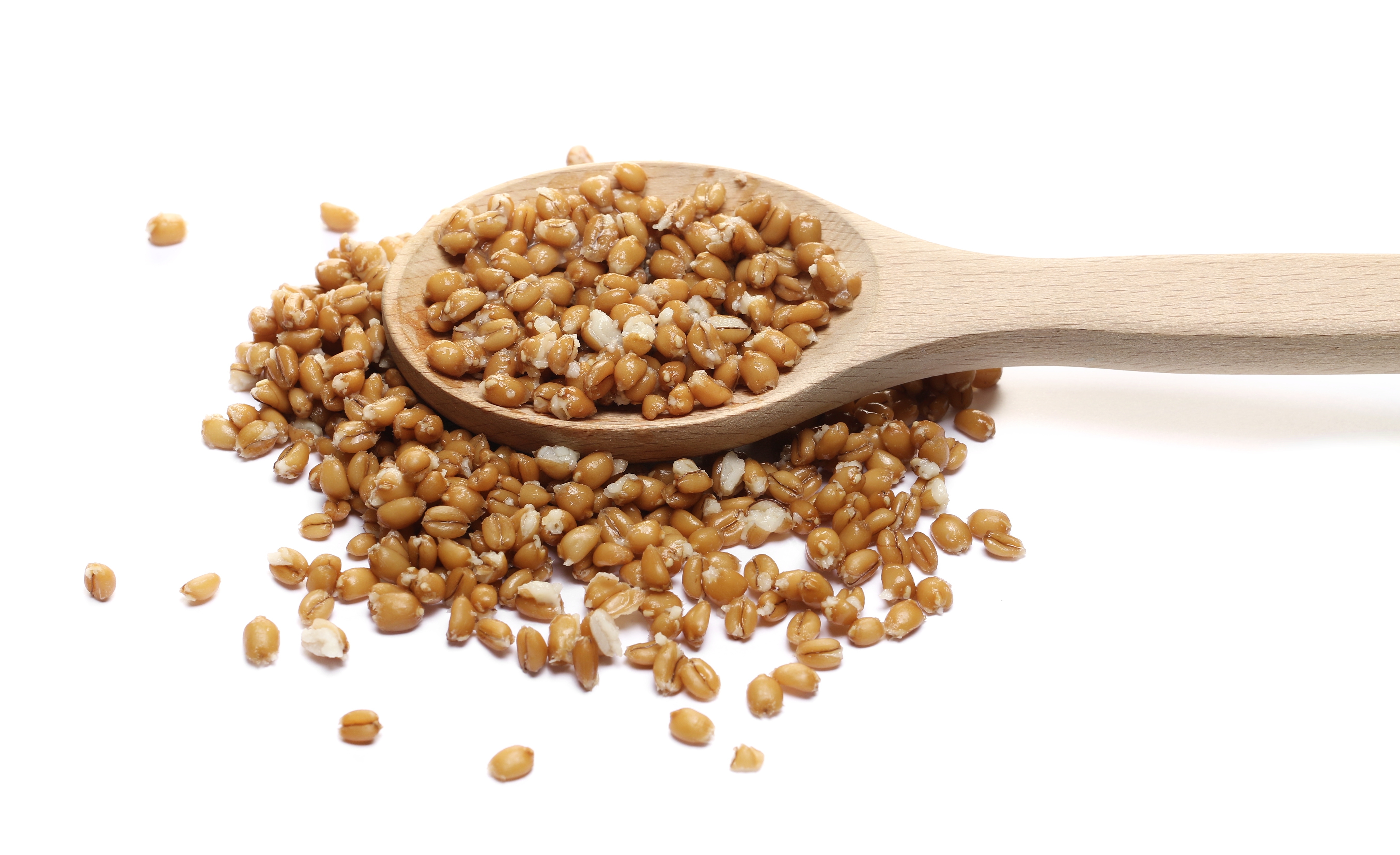 Sojabohnen geröstet und gesalzen - Bio Sojasnack | 1kg Beutel Tasty Pott