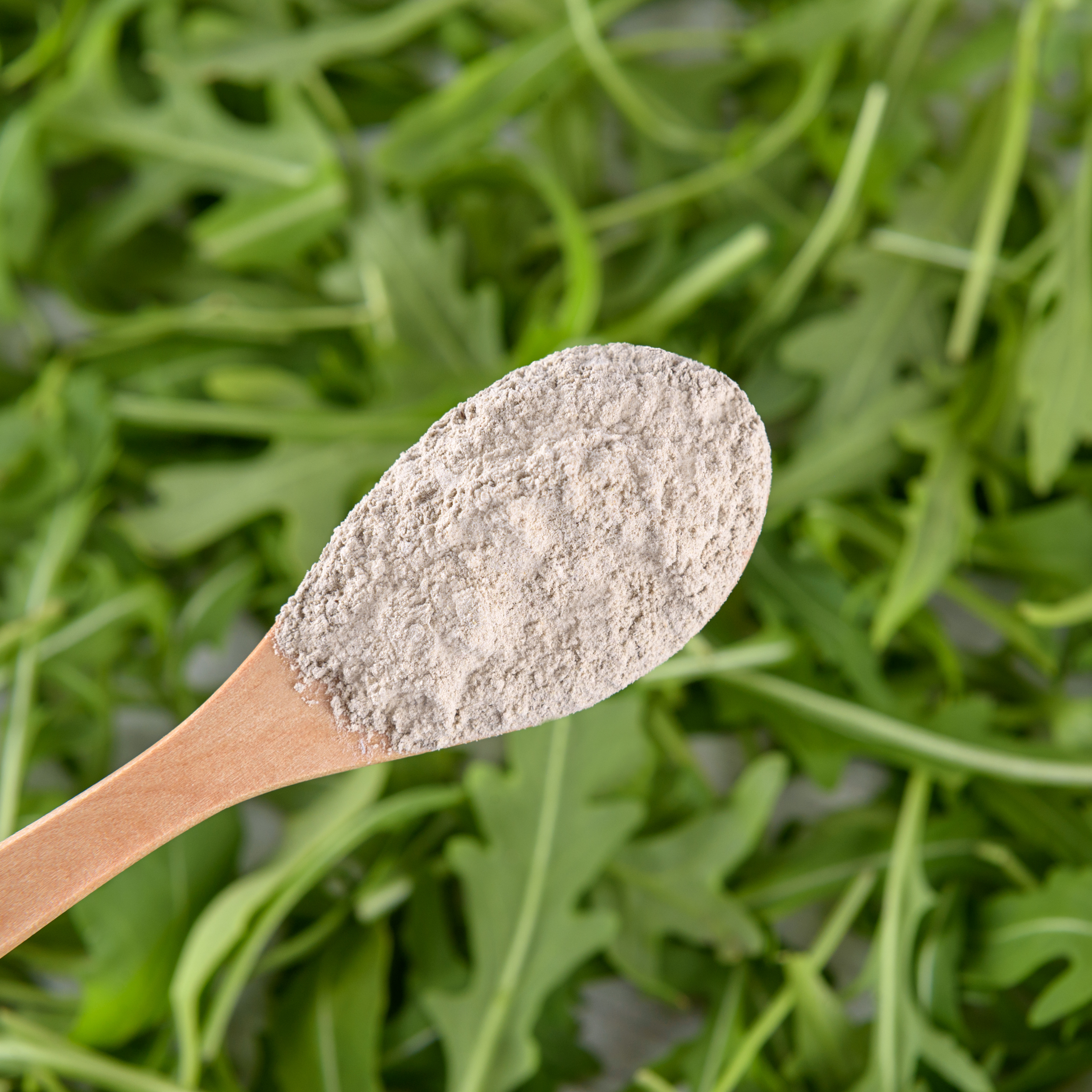 Tasty Pott Bio Löwenzahnwurzel gemahlen 200g Beutel Tasty Pott Bio Löwenzahnwurzel gemahlen 200g Beutel