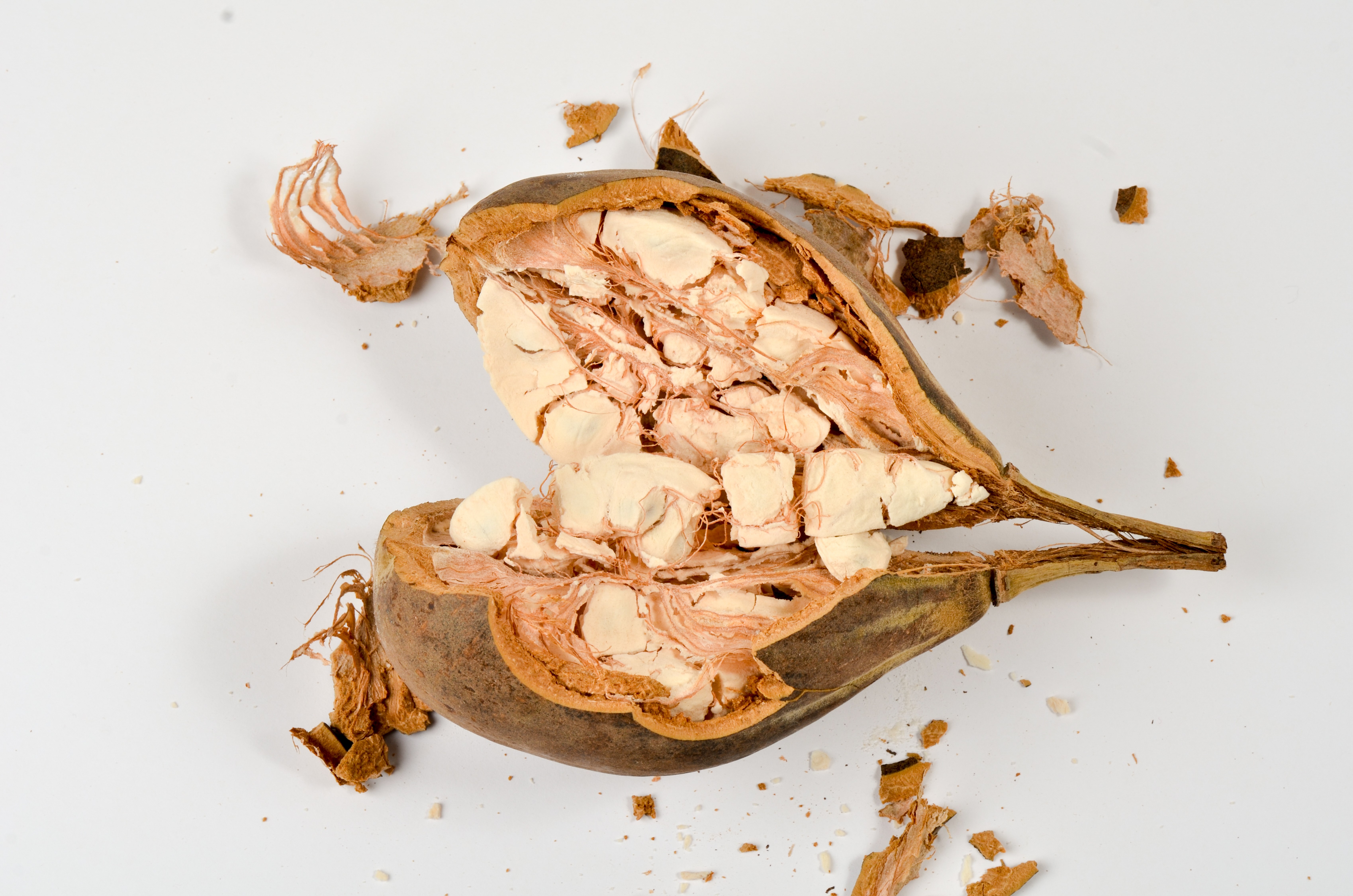 Bio Baobab Pulver - Baobab Fruchtpulver - 1Kg Beutel von Tasty Pott Bio Baobab Pulver - Baobab Fruchtpulver - 1Kg Beutel von Tasty Pott