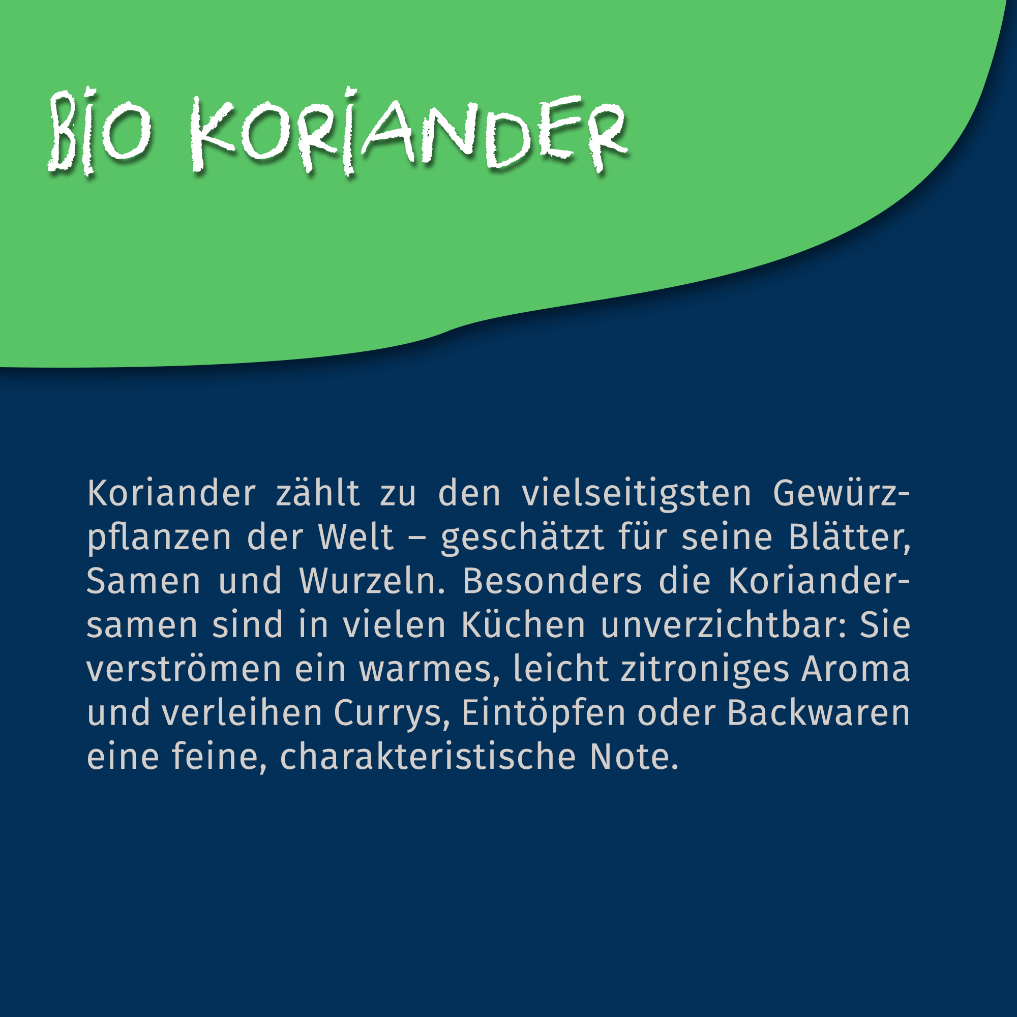 Bio Koriander ganz - coriandrum sativum - 60g Dose von Tasty Pott Bio Koriander ganz - coriandrum sativum - 60g Dose von Tasty Pott